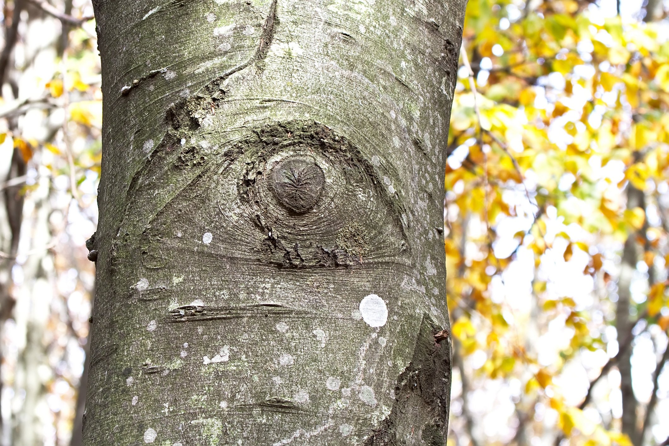 Scopri il museo slide image.