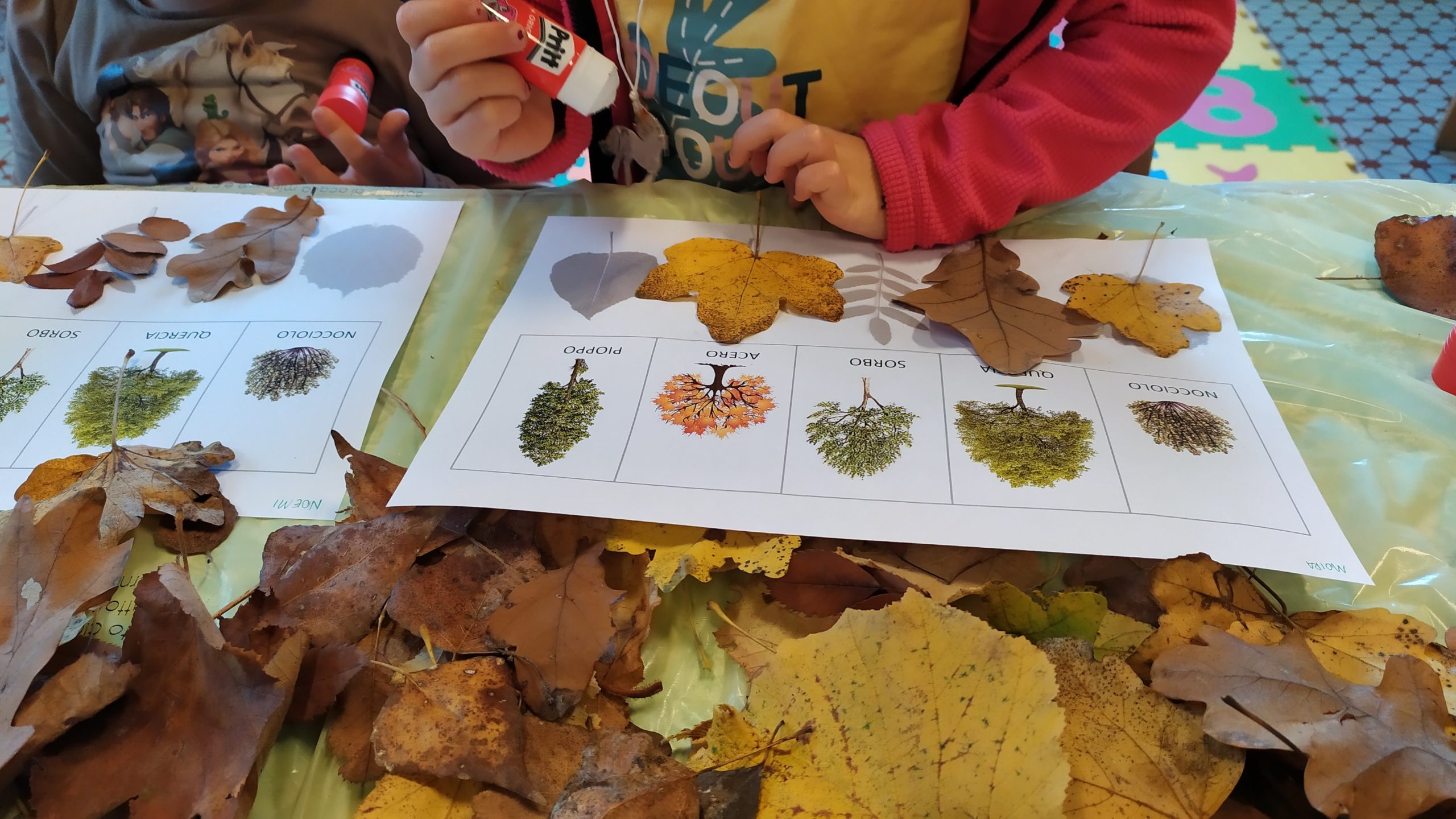 Foglie e colori d’autunno