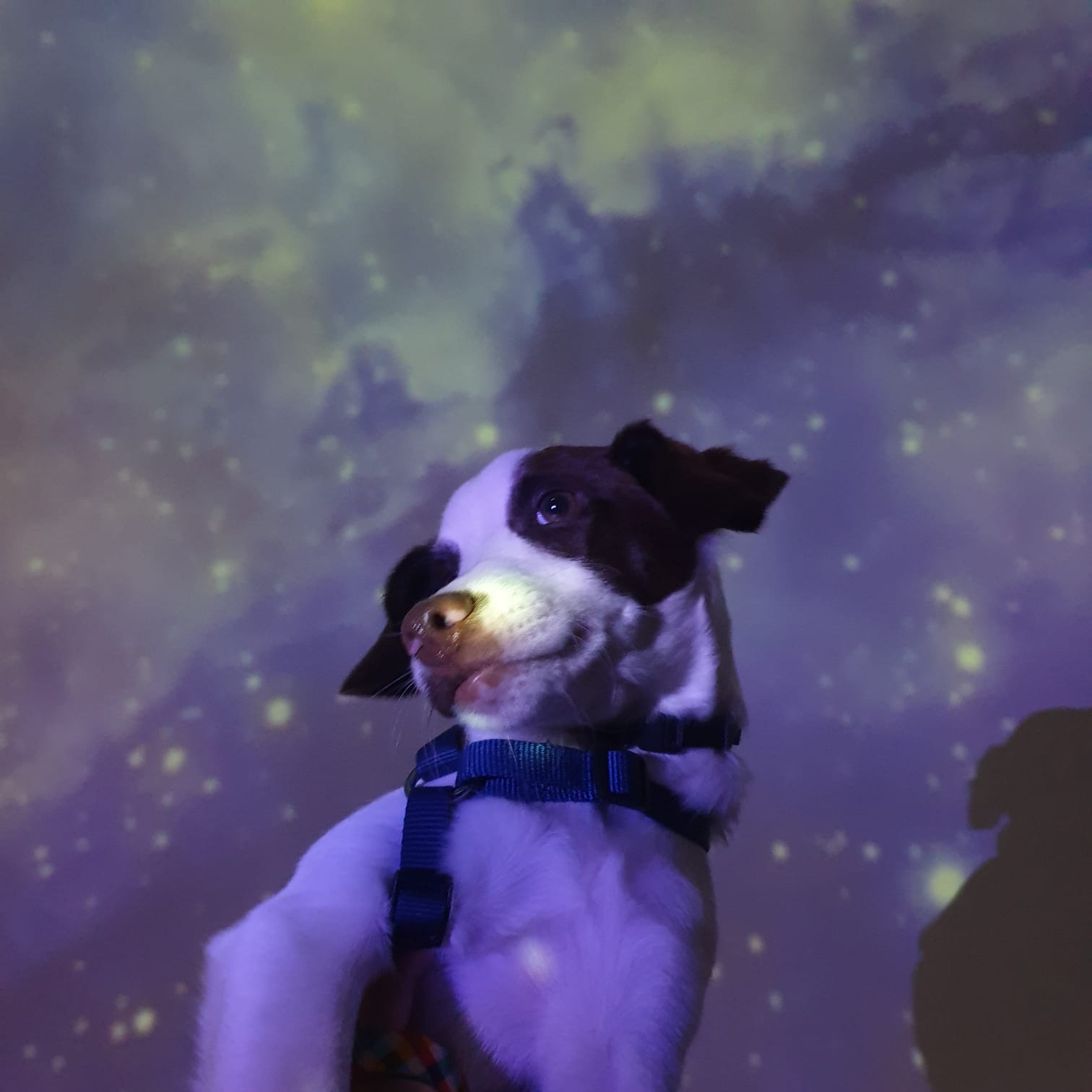 Al Planetario c’è un posto per tutti!