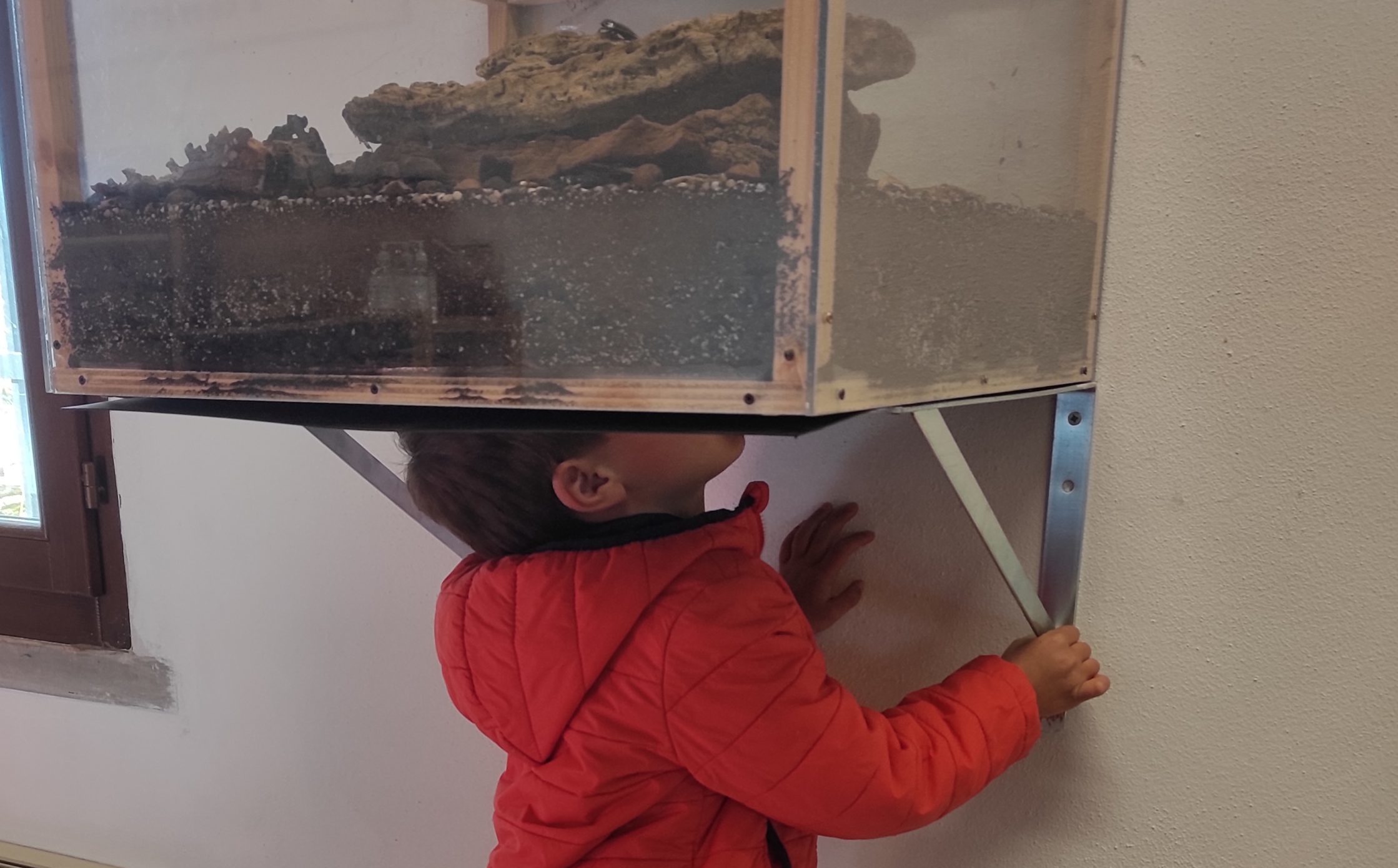 Scopriamo la terra e chi c’è sotto!