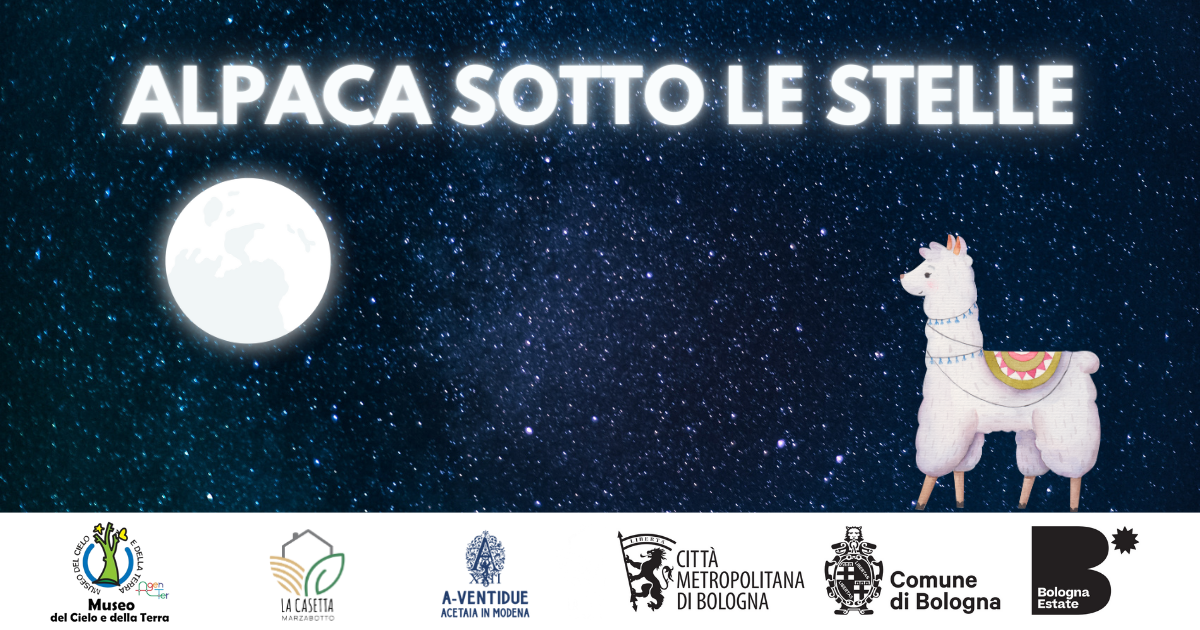 Alpaca sotto le stelle