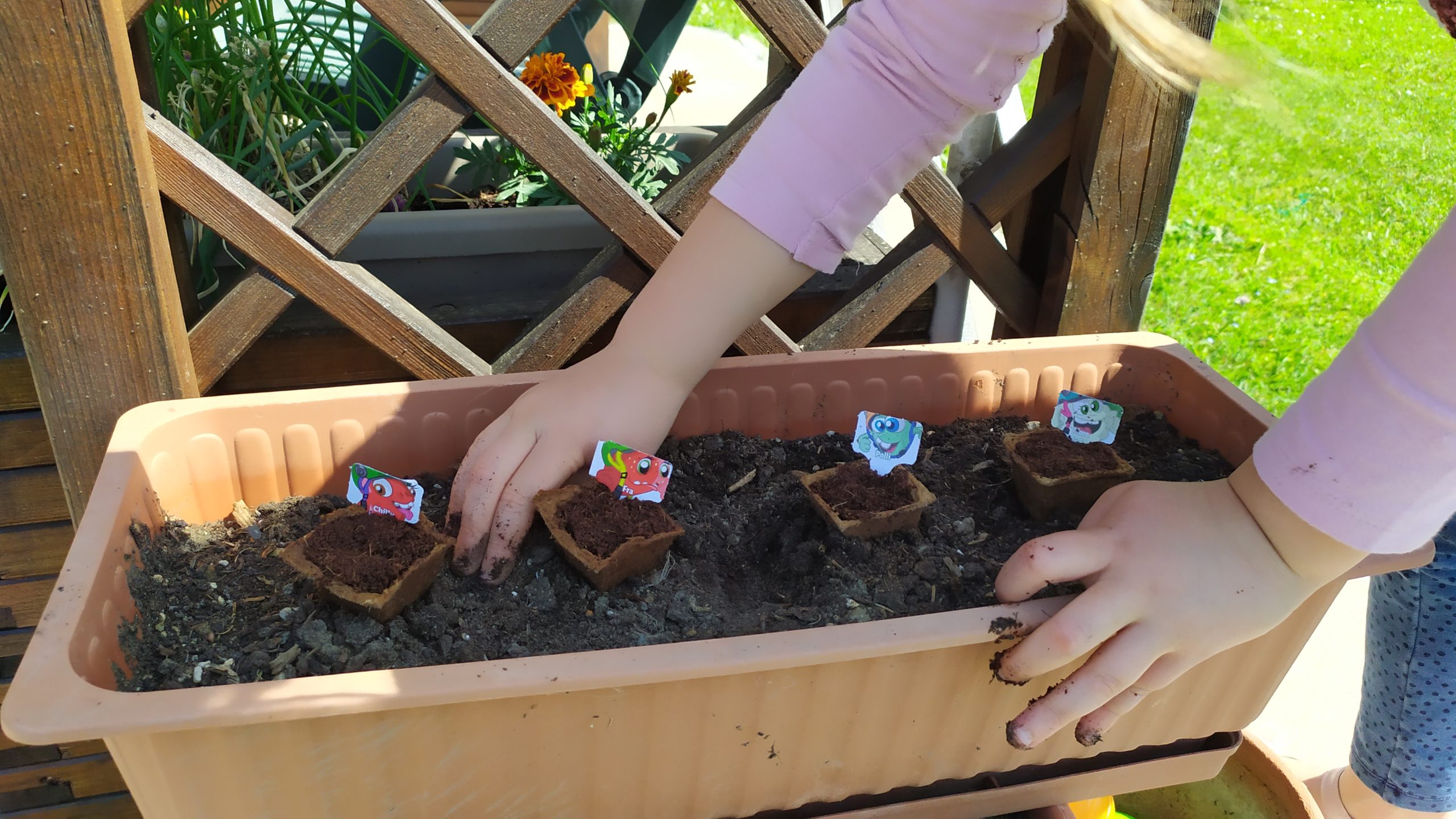 L’orto sul balcone!