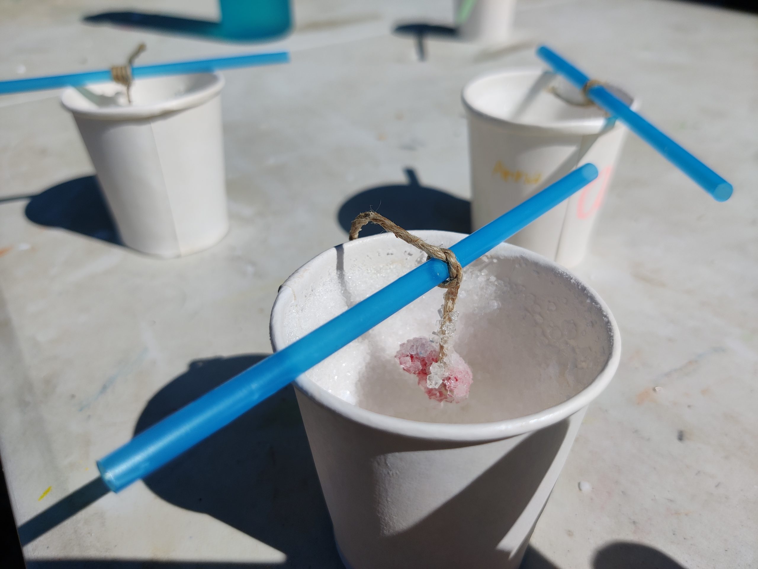 Cristalli di sale… e non solo!