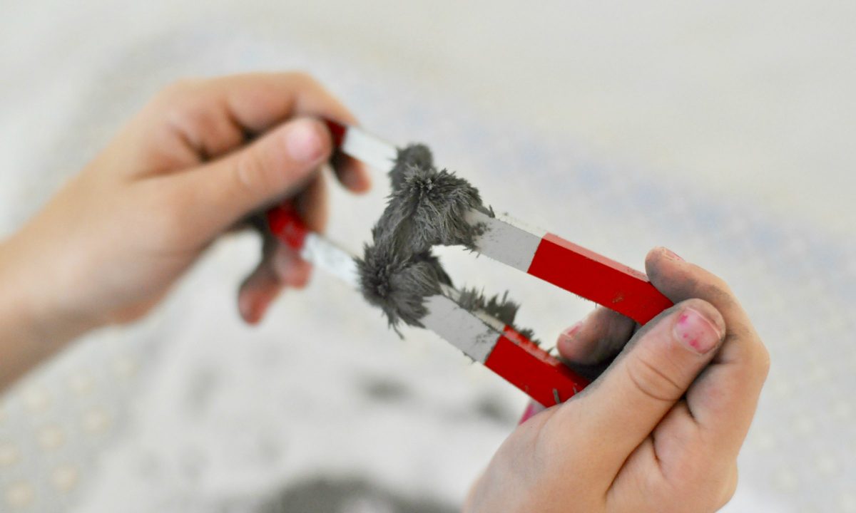 Scopriamo la forza magnetica!