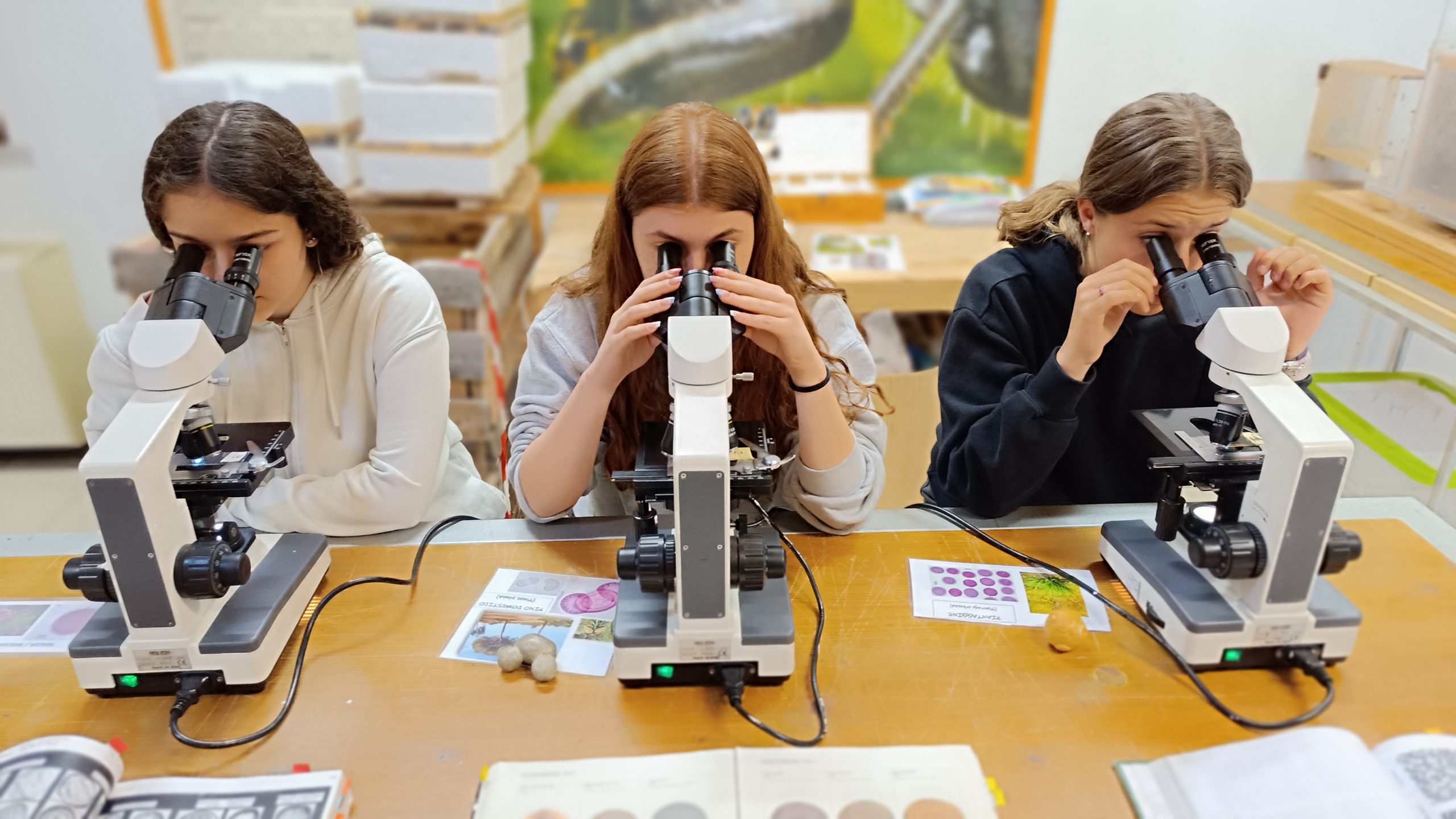 Natura selvaggia… o no?