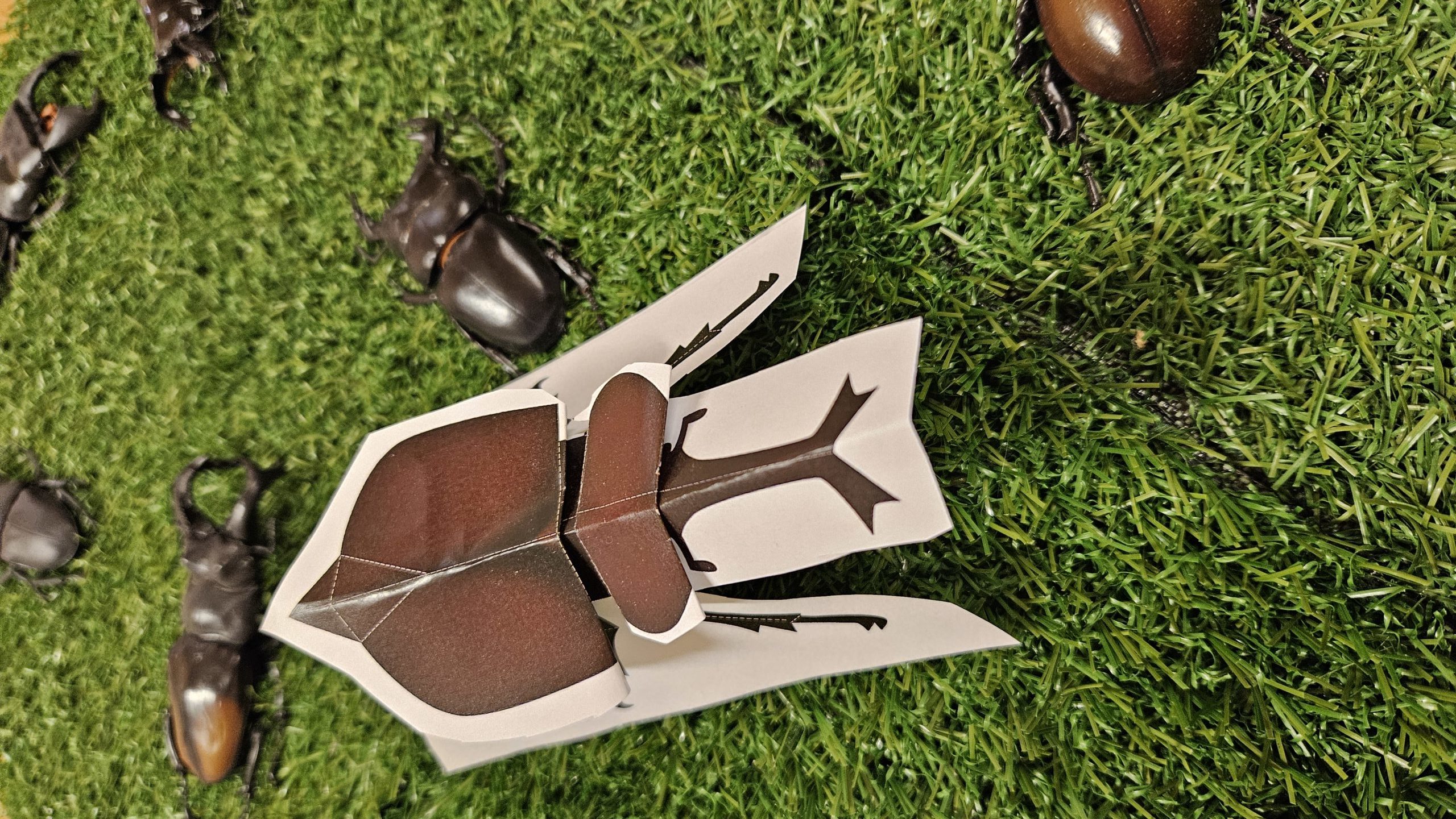 Entomodena: Piccoli artisti, grandi scienziati