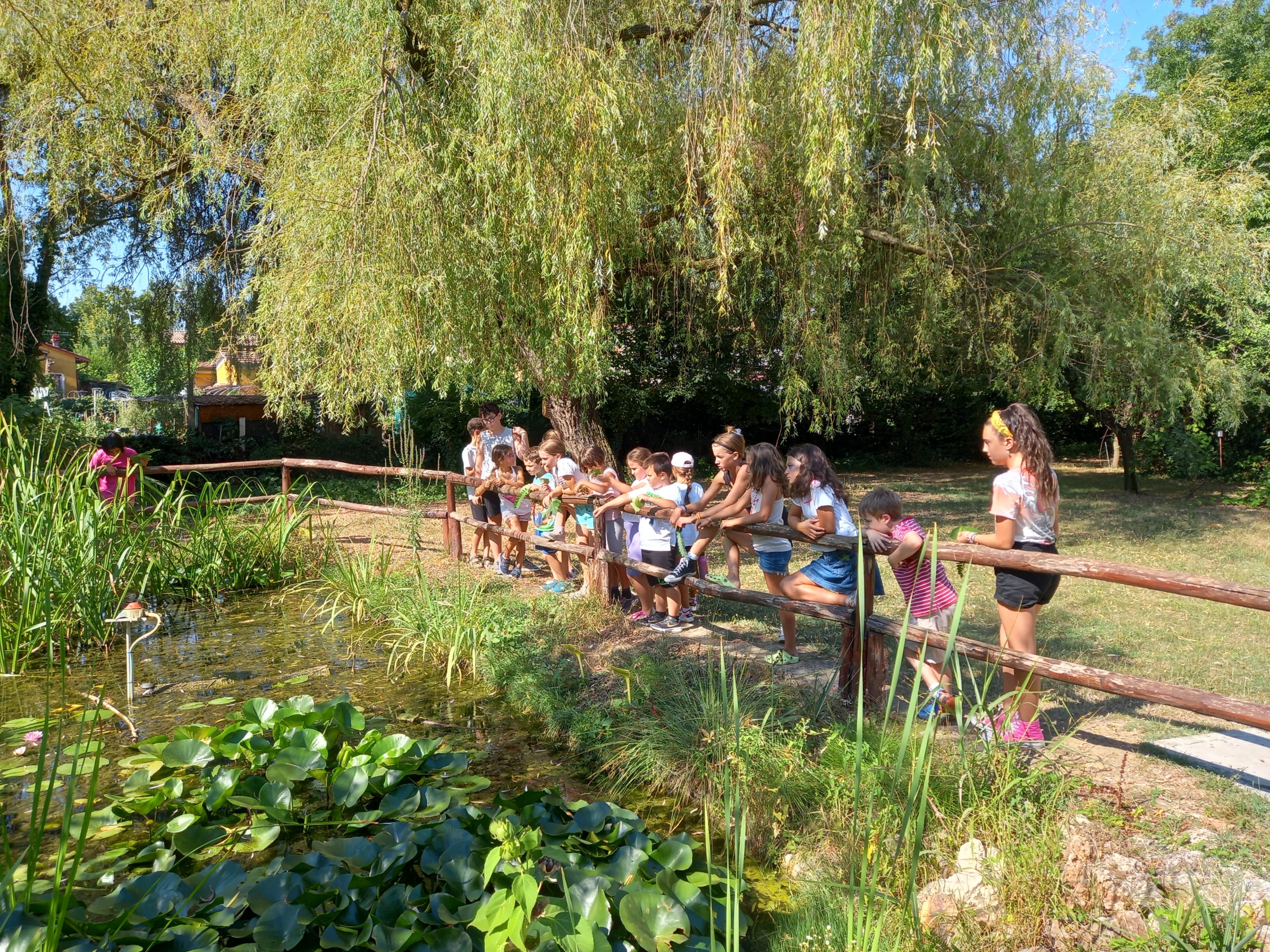 BOLOGNA ESTATE 2025 – Alla scoperta dell’Orto Botanico