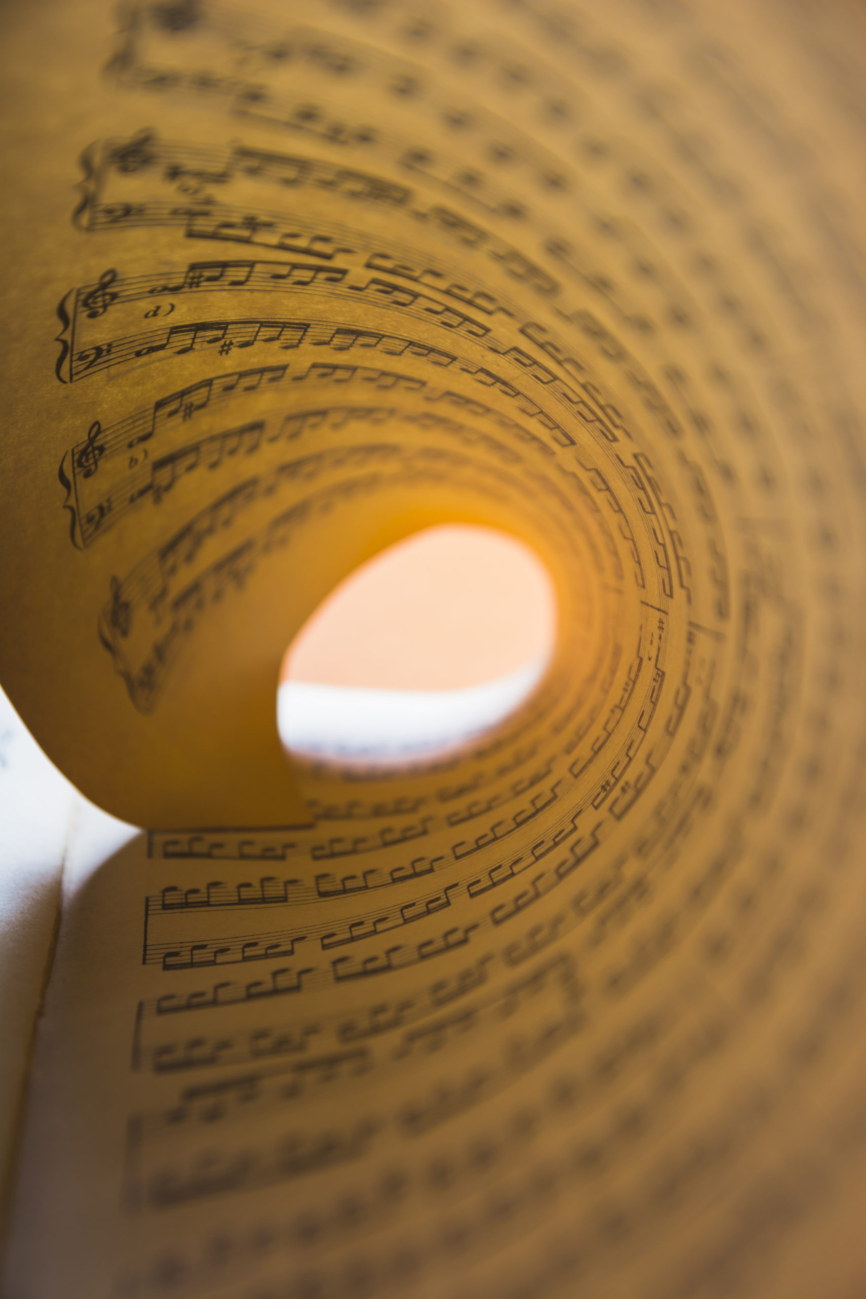 BOLOGNA ESTATE 2025 – Armonie di luce e proporzioni