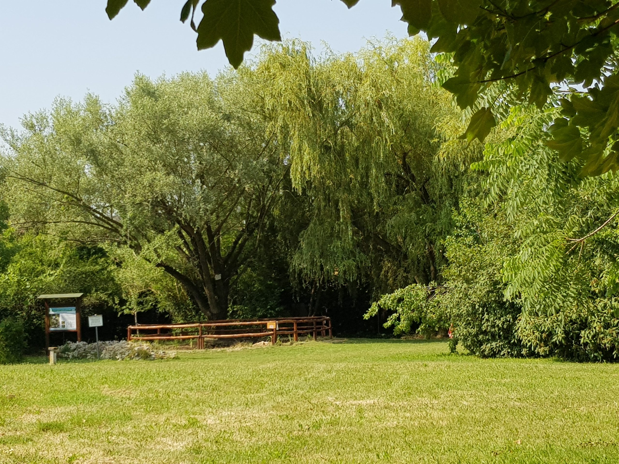 XXIV Festa dell’Ambiente / WWF