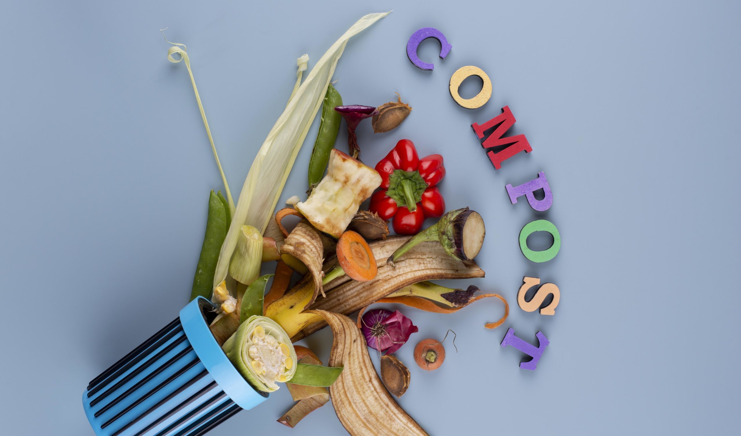 Scarti di oggi, vita di domani…