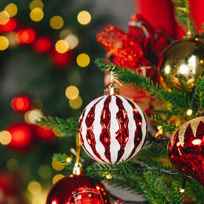 Vai a: Buon Natale e felice Anno Nuovo