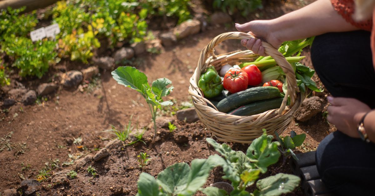 Coltivare un orto fa bene…