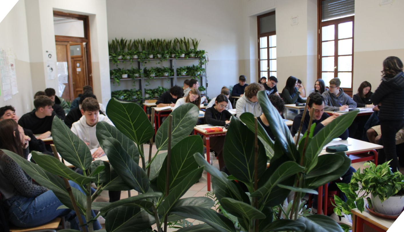 Il verde urbano e ornamentale per il benessere…