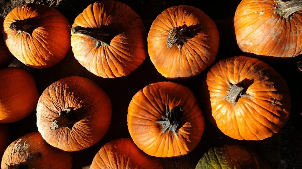 Halloween 2026 Bologna