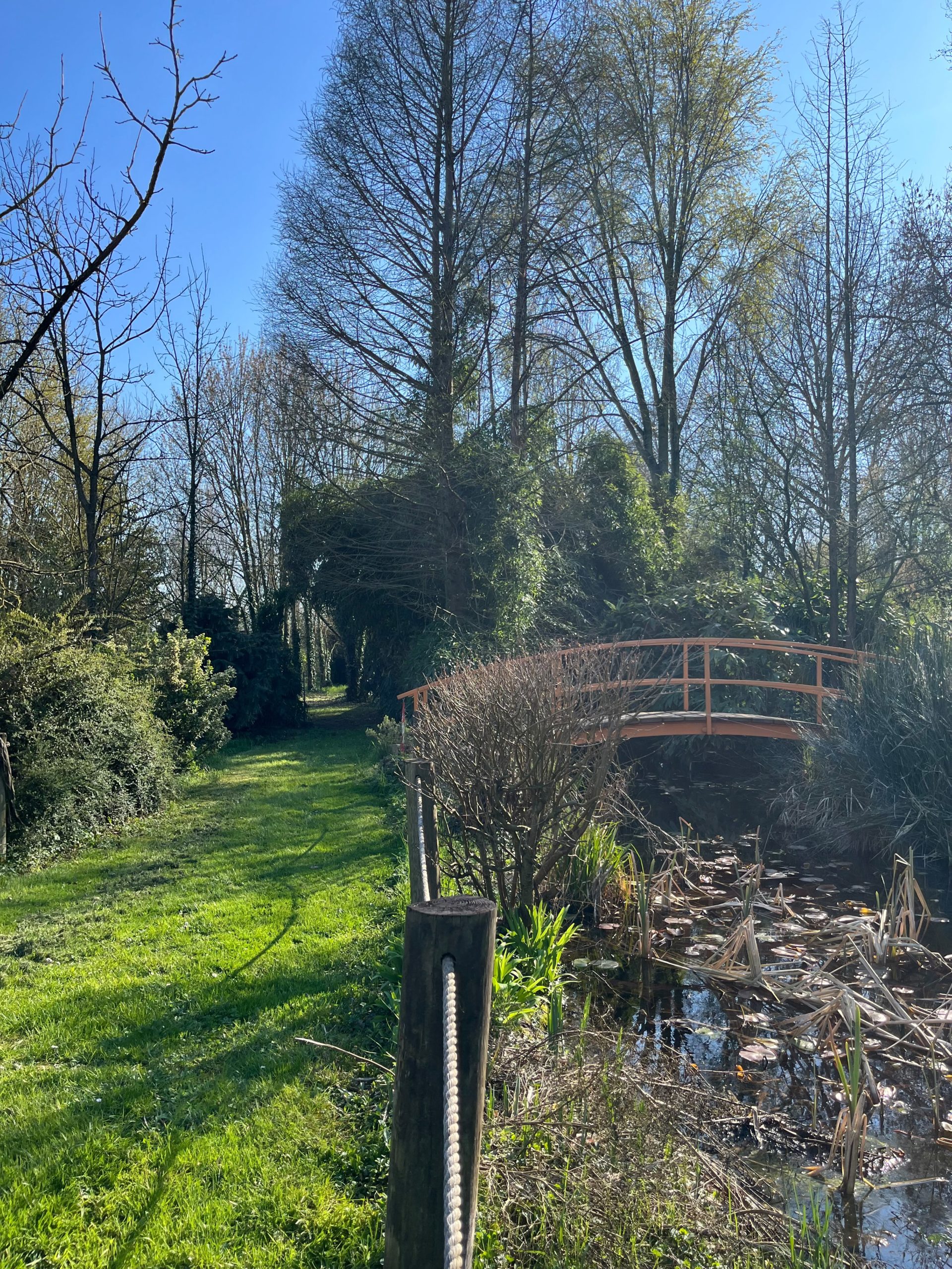 Passeggiata alla scoperta della biodiversità del Giardino Botanico La Pica